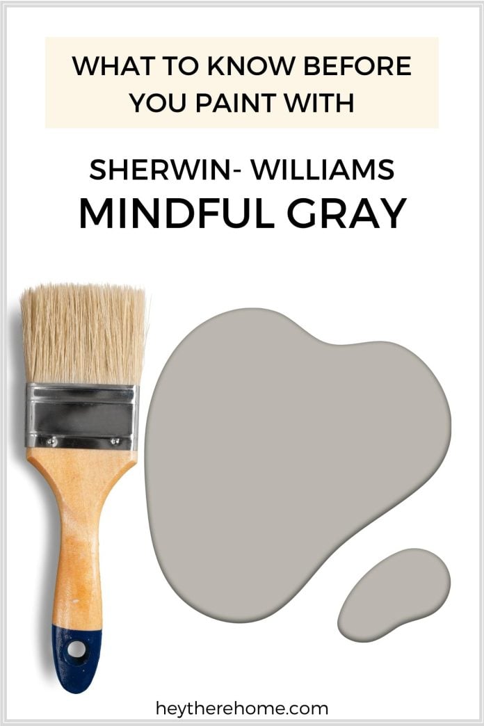 Is Sherwin Williams Mindful Gray Paint Color For You?