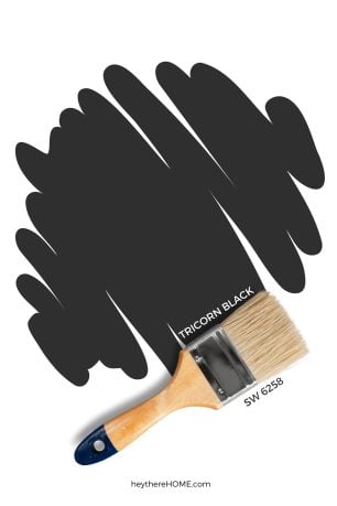 Sherwin Williams Tricorn Black