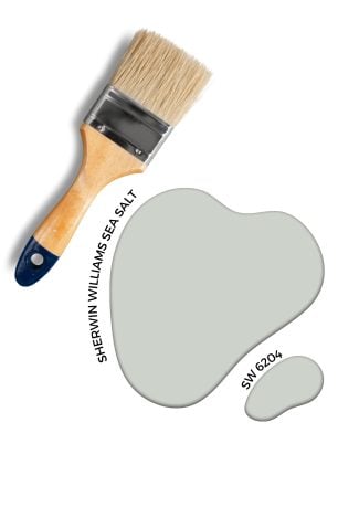 Sea Salt Sherwin Williams